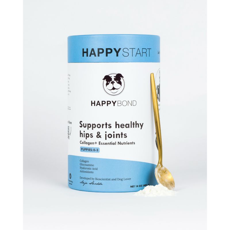 HAPPYBOND - Happy Start