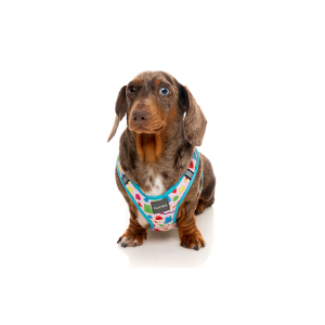 fuzzyard step in harness