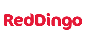 Red Dingo