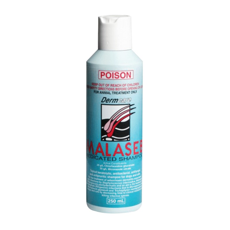 malaseb shampoo pets at home